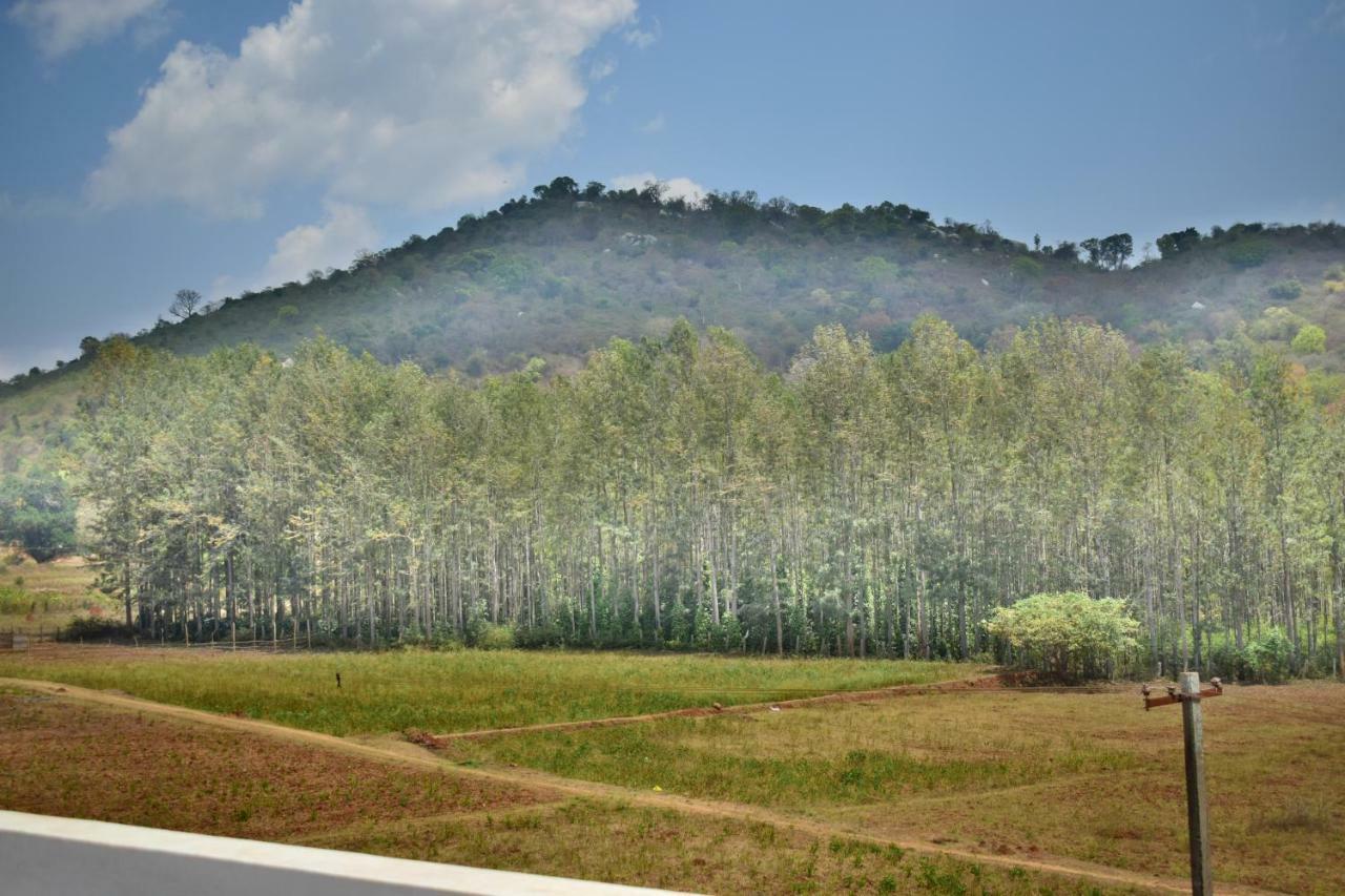 Kozee Kaves Hotel Yelagiri Luaran gambar