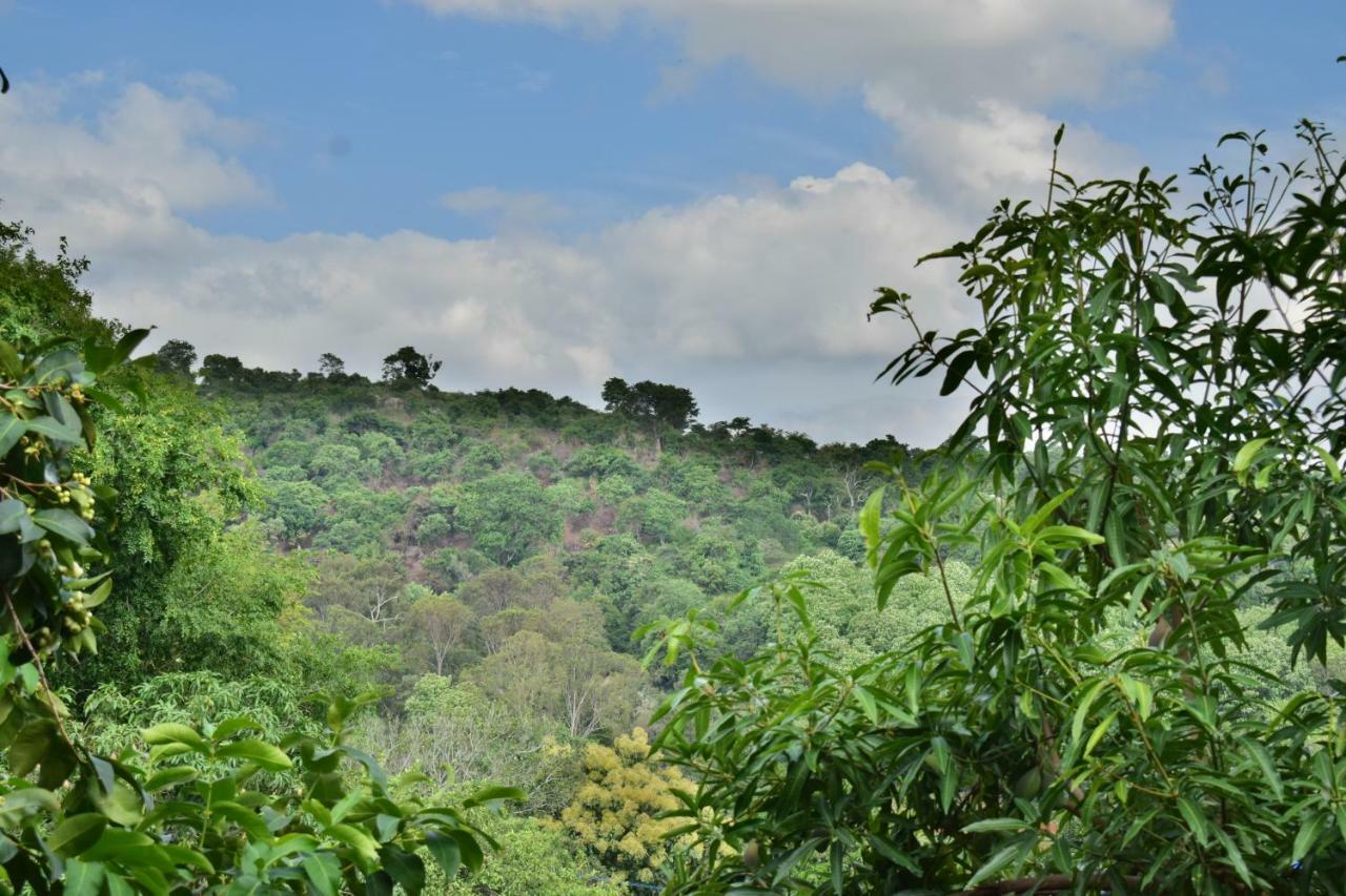 Kozee Kaves Hotel Yelagiri Luaran gambar