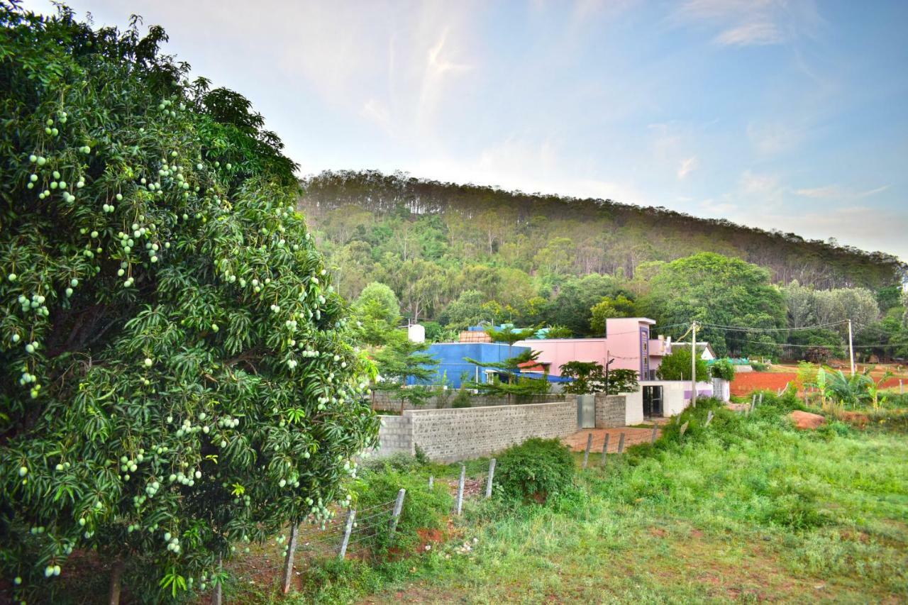 Kozee Kaves Hotel Yelagiri Luaran gambar